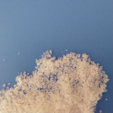 Nitrogen Magnesium Compound Fertilizer CAS No:10377-60-3